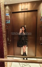 ladyboylongl Chengdu Transex 我来自中国🇨🇳身高173体重58我擅长攻，
不受（only top）no bottom，有一个大阴茎
服务好技术好希望能让你体验到前所未有�
��快乐！telegram:@ts_zkkline:tszhenkeke抖音:甄可可🉑I am a beautiful,
sexy and slim TS. I have a beautiful rooster. My service is
very good. I hope we can have a good time. Believe me, I
will give you a different experience.Couples and male and
female friends are welcome。 thank you  All the
good times with me are forTop, complete with 20cm cock.
 ❤ 