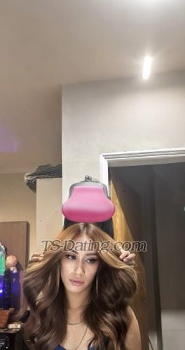 trans girl laura97 6354038 trans girl laura97 6354038