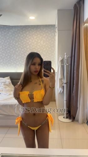 trans girl lauraamanda 3242330 trans girl lauraamanda 3242330