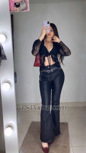 trans girl littlelauren 5681380 trans girl littlelauren 5681380