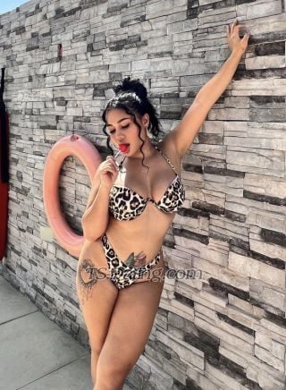 trans girl lovebites 3346849 trans girl lovebites 3346849