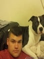 luv2shemales-1092383