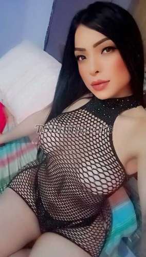 trans girl MAOLYTSXXL 2830968 trans girl MAOLYTSXXL 2830968