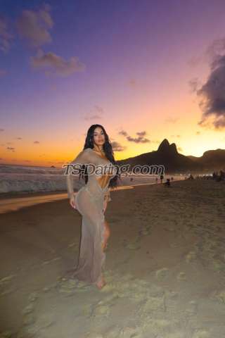 trans girl MEGANNXXL 7066274 trans girl MEGANNXXL 7066274