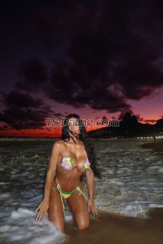 trans girl MEGANNXXL 7066339 trans girl MEGANNXXL 7066339