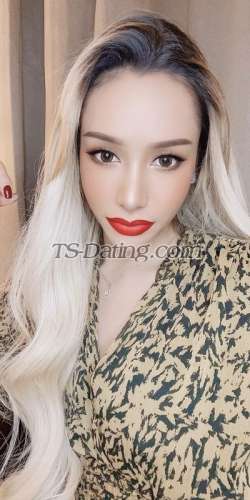 trans girl MMayrisa12 6490216 trans girl MMayrisa12 6490216