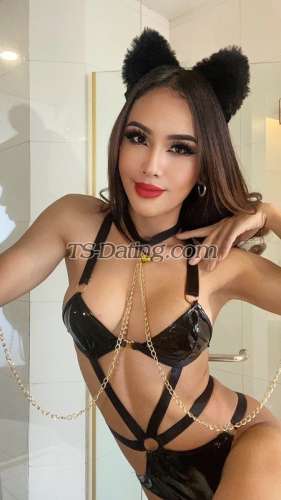 trans girl MUAYSEXY 3513202 trans girl MUAYSEXY 3513202