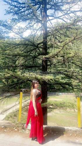 trans girl Maahi69 4907106