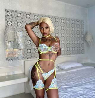 trans girl XFridays 2549211 trans girl XFridays 2549211