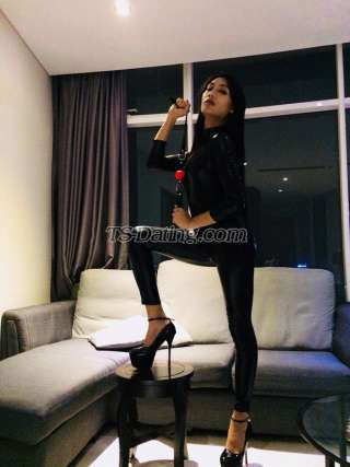 trans girl MadisonSy 6449072 trans girl MadisonSy 6449072