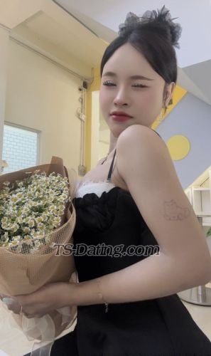 Shemale-Mailinh134-2380212 