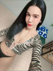 Mango23 Seoul Transex 