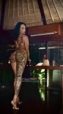 Marcella ts Denpassar Transex Hello!
Juts arrive in bali Will stay one week only

I’m Marcella, a fitness model with a captivating
presence and a beautiful brown complexion, originally from
Indonesia. I am here to offer a range of services tailored
to your preferences. Whether you have specific requests or
just want to explore possibilities, I am always available to
play with you.

If you're interested in connecting,
please feel free to reach out via WhatsApp.

Thank
you, and I look forward to hearing from you
soon!

Best regards,  
TS Marcella, Your Angel