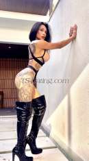 Marcella ts Denpassar Transex Hello!
Juts arrive in bali Will stay one week only

I’m Marcella, a fitness model with a captivating
presence and a beautiful brown complexion, originally from
Indonesia. I am here to offer a range of services tailored
to your preferences. Whether you have specific requests or
just want to explore possibilities, I am always available to
play with you.

If you're interested in connecting,
please feel free to reach out via WhatsApp.

Thank
you, and I look forward to hearing from you
soon!

Best regards,  
TS Marcella, Your Angel