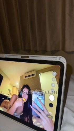 trans girl Mariefox 0382741 trans girl Mariefox 0382741