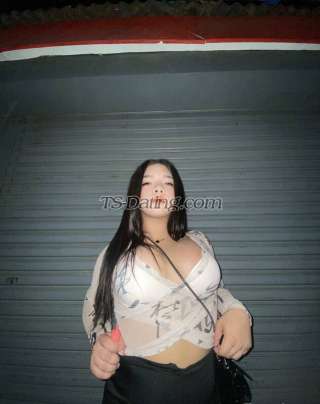 trans girl Mau96 6651146 trans girl Mau96 6651146