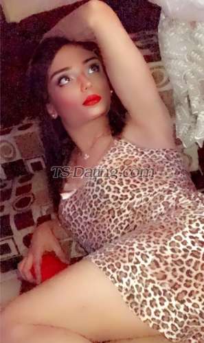 trans girl Mawada 8072880 trans girl Mawada 8072880