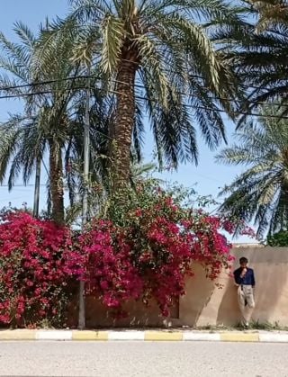 Male from Iraq