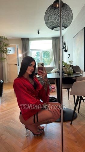 Shemale-Meganhotlatin-7939735 