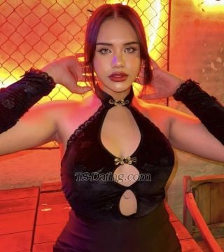 trans girl MekhalaJens 7407873 trans girl MekhalaJens 7407873