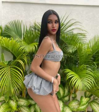 trans girl Mellan122 8388647 trans girl Mellan122 8388647