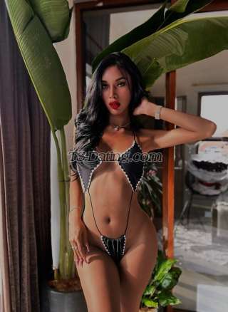 trans girl Mellan122 8388910 trans girl Mellan122 8388910