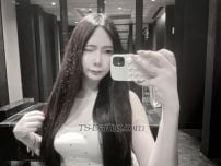 Melle Taichung Transex WhatsApp: + 6590967534
Telegram: +66959791738
WeChat: Belobelle8
Line:  https://line.me/ti/p/j0ljbjFhhV

SUPER HOT TS girl available for fulfilling the whole fantasies of yours!
Am bella clean, high class, multilingual,talkative,cute&lovly but at the same time a naughty slut in the bed.

I also guarantee my image to be accurate.

So, if you fancy a relaxed and luxury time , give yourself a chance to have a young and super cool beautiful T- Lady for 1st class and exotic experience. If you look for a face doll, with a hard big tool, don’t waste your time with fakes! Here you get the best experience ever. I am very fun, sensual and sinfully T-girl . I live to bring your fantasy to life.