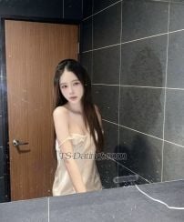 Melle Bangkok Transex WhatsApp: + 6590967534Telegram:
+66959791738WeChat: Belobelle8Line: 
https://line.me/ti/p/j0ljbjFhhVSUPER HOT TS girl
available for fulfilling the whole fantasies of
yours!Am bella clean, high class,
multilingual,talkative,cute&lovly but at the same time a
naughty slut in the bed.I also guarantee my image
to be accurate.So, if you fancy a relaxed and
luxury time , give yourself a chance to have a young and
super cool beautiful T- Lady for 1st class and exotic
experience. If you look for a face doll, with a hard big
tool, don’t waste your time with fakes! Here you get the
best experience ever. I am very fun, sensual and sinfully
T-girl . I live to bring your fantasy to life.
