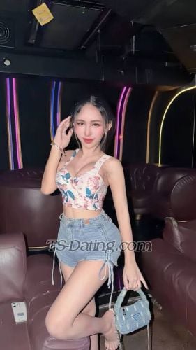 trans girl MiaJen 2517744 trans girl MiaJen 2517744