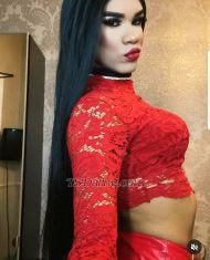 Miastar Frankfurt Transex Sexy ts in berlin... from brasil, very hot girl come for me
papyys 💋❤