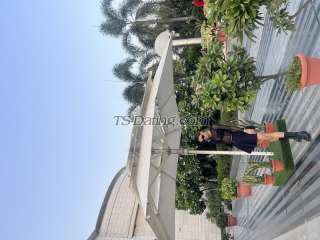 trans girl Michelle190 6175838 trans girl Michelle190 6175838