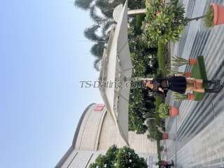 trans girl Michelle190 6202243 trans girl Michelle190 6202243