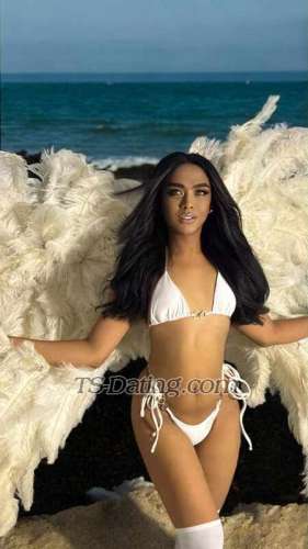 trans girl MicielaDaks 2068689 trans girl MicielaDaks 2068689