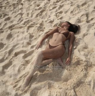 trans girl Shalee 8338611 trans girl Shalee 8338611