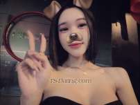 New Transex Shemales Transgender Crossdressers and Transvestites - Shemale Escorts - TS Escorts - Transsexuals  | TS-Dating.com @ 