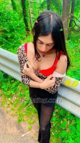 Shemale Mishtisinha 3384689 Shemale Mishtisinha 3384689