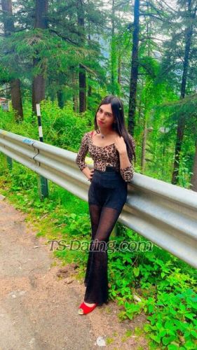 trans girl Mishtisinha 3385058 trans girl Mishtisinha 3385058