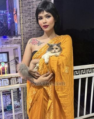 trans girl MissElly 1907116 trans girl MissElly 1907116