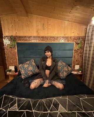 trans girl MissElly 4347053 trans girl MissElly 4347053