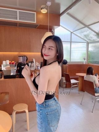 trans girl MissHolly22 2505575