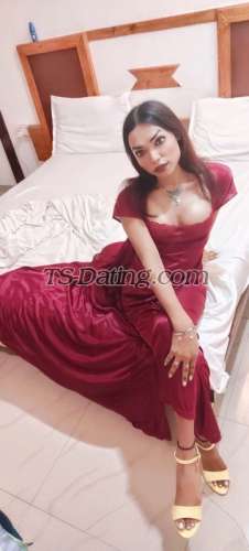 trans girl MissSangeeta 7430326 trans girl MissSangeeta 7430326