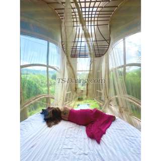 trans girl Missbasu 0098891 trans girl Missbasu 0098891