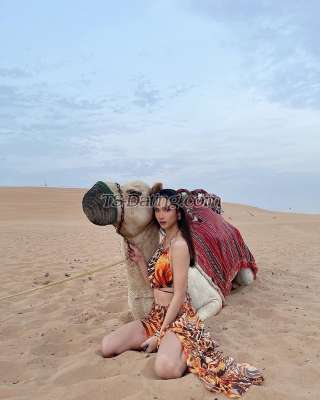 trans girl Missjessi96 3258973 trans girl Missjessi96 3258973