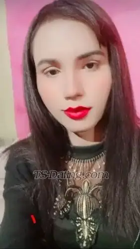 Shemale Missrose 7663740 Shemale Missrose 7663740