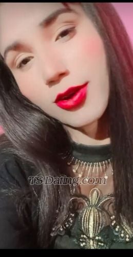 trans girl Missrose 7663791 trans girl Missrose 7663791