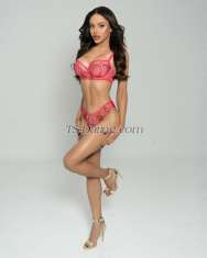 Miss Victoria Missvictoria1 Missvictoria1 Belgrade Transex Miss Victoria, ONLY for wealthy gentlemen who demand nothing but the BEST in exclusive, stylish, understated and sophisticated companionship and location. 
I am stunning transsexual, elegant, polite and very sensual, I have 171cm, 58kg I have a 20cm stick with a lot of milk ... 
I always find it strange to describe myself physically in writing, so I let my pictures speak. All my photos are recent and I look exactly the same personally when you come to see me. 
I guarantee the best TS experience. Contact me and see for yourself. Here is your chance to make your fantasy a reality! Very sophisticated and elite girl, above all. Definitely unique! 
I LOVE my job, so I always do my best for my clients. 
NOTE : 
For all genuine guys 
- PRIVATE NUMBER / will be ignored 
AVAILABLE TO : INCALL / OUTCALL 
*** FIRST TIMERS WELCOMED! 100% SATISFACTION GUARANTEED *** 
You have tried others! NOW TRY THE BEST!