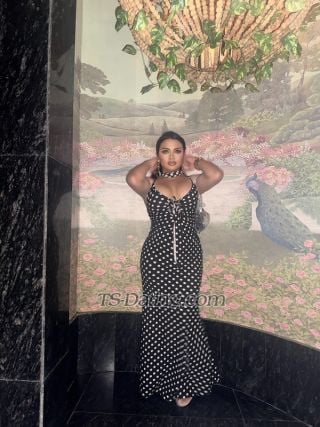 trans girl Mixylee 6040477 trans girl Mixylee 6040477