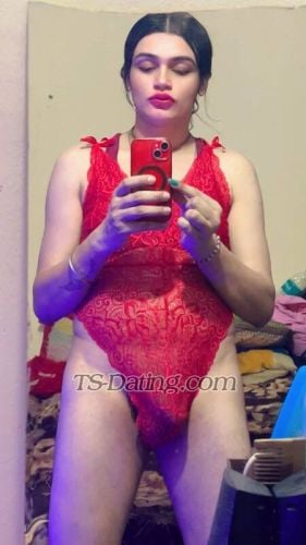 Shemale Escort - Mohini11215 - India