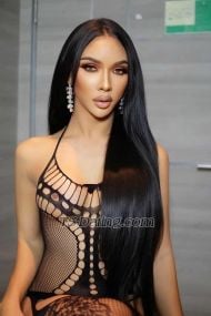 Moji44 Pattaya Transex Line:sofai0709My whatsapp +66963411796Good morning
my name  mojiI'm here in my pattayaI'm very
elegant classy sexy and nice talking if you looking for a
sex dominant time or you liking for a sweet time I can do  
everything you want I have 8 inch cock big come big thick
and good ass ❤top ❤️bottom sub❤️cum
in my mouth my face❤️suck 69