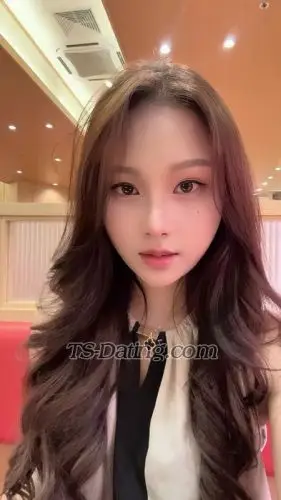 Shemale Molly39 2048237 Shemale Molly39 2048237